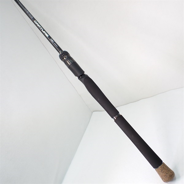 ２５キャプチャー２７４Ｍー２